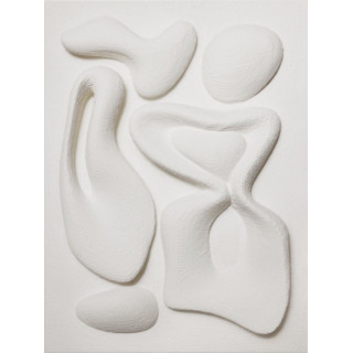 Organic Shapes Texture Toile