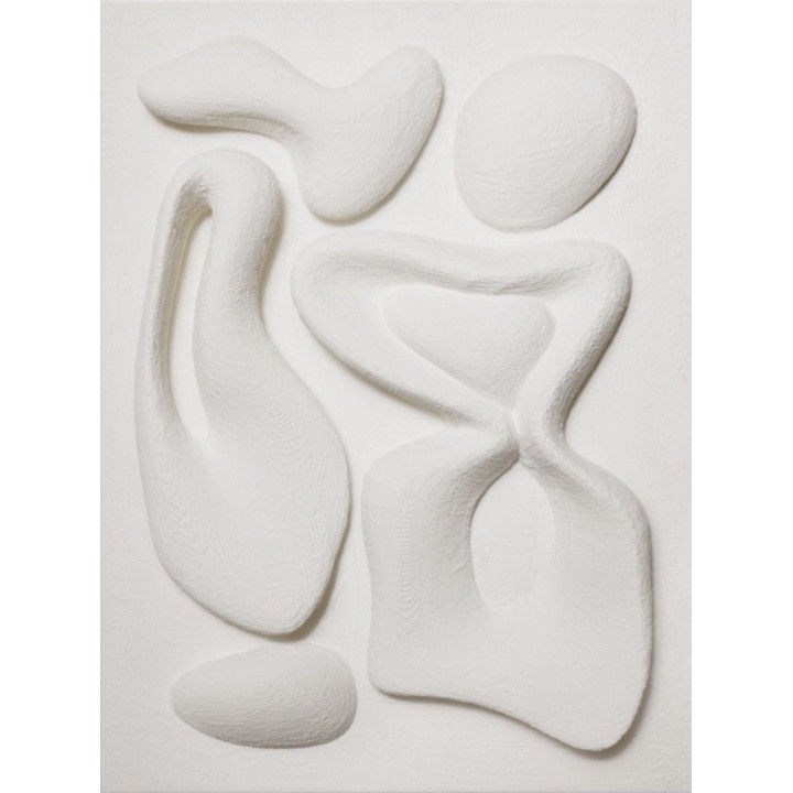 Organic Shapes Texture Toile